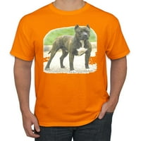 Vad Bobby, Pitbull kutya állat kisállat szerető, kutya szerető, férfi grafikus pólók, Narancs, 5XL