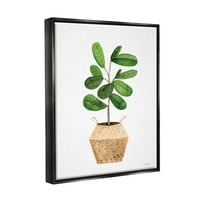 Stepell kerek zöld levelek ültető botanikai és virágfestés fekete úszó keretes művészeti nyomtatási fal művészet