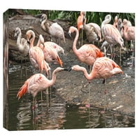 Képek, rózsaszín flamingók, 20x16, dekoratív vászon fali művészet