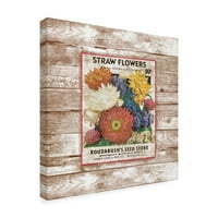 Védjegy képzőművészet 'Straw Flowers On Wood 1' vászon művészet Jean Plout