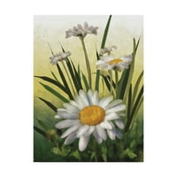 Védjegy Szépművészet 'Spring Daisies' vászonművészete: Lois Bryan